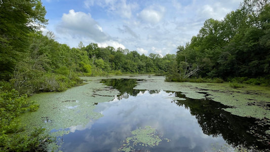 NPS Image